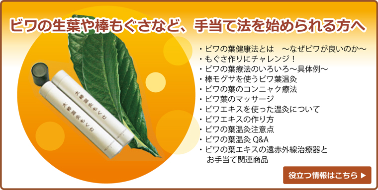 枇杷の葉　発注ページ 無農薬 枇杷の葉（びわの葉） 100g 【長崎・大分県産】 | 枇杷を使った