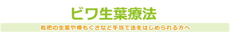 ビワ生葉療法