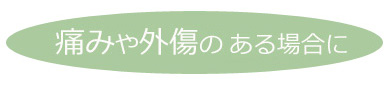 痛みや外傷のある場合に