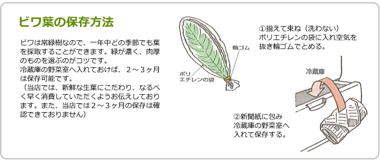 ビワの葉の保存方法