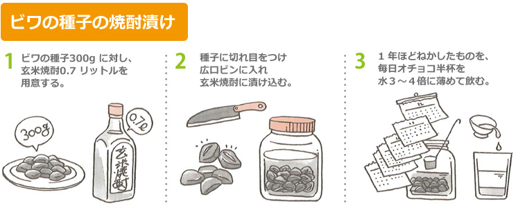 ビワの種子の焼酎漬け