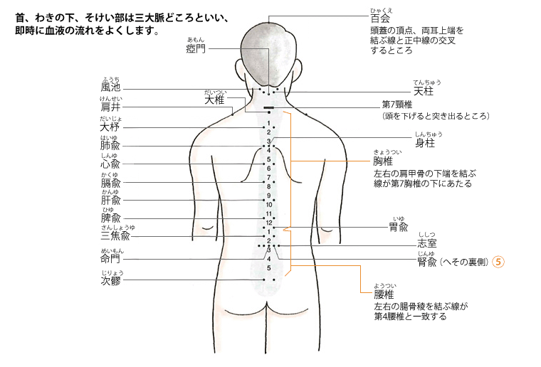 ツボ図解