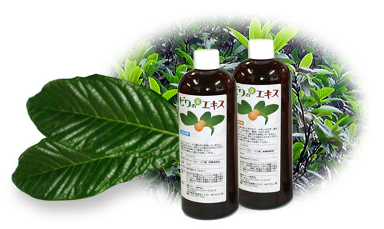 6ケ月以上熟成 無農薬濃厚ビワの葉エキス（洗葉）500ml×2本セット 健康