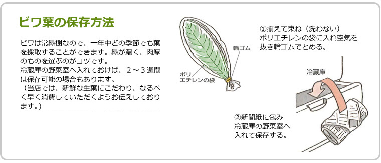 無農薬 枇杷の葉（びわの葉） 100g 【長崎・大分県産】 | 枇杷を使った