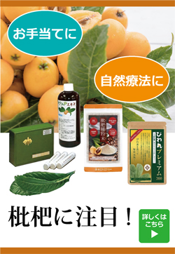 枇杷に注目
