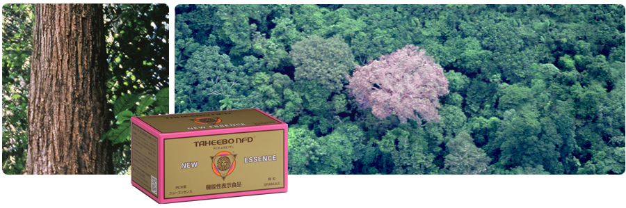 天然の植物色素