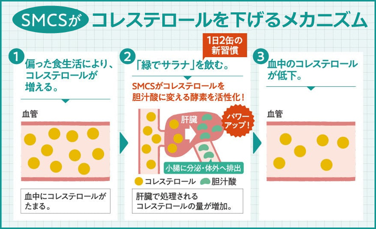 ＳＭＣＳの働き