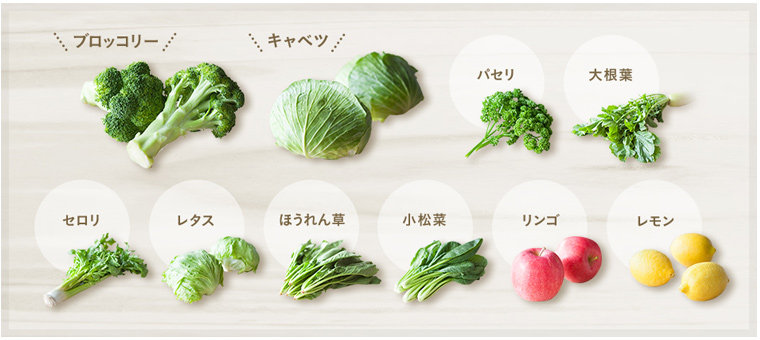 8種類の野菜と2種の果物