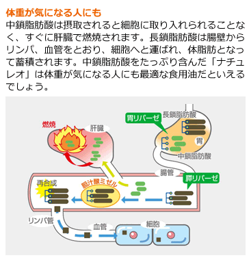 体重が気になる人にも