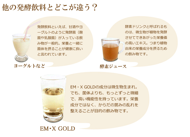 他の発酵飲料とどこが違う？