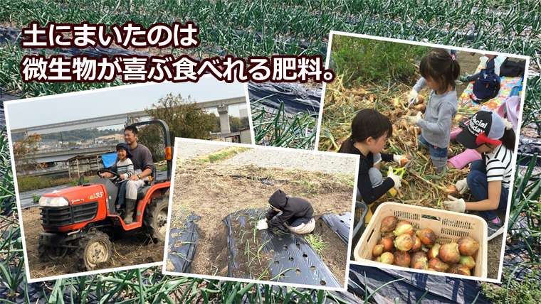 土にまいたのは微生物が喜ぶ肥料