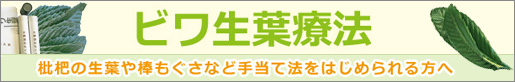 ビワ生葉療法