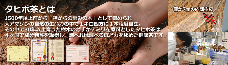 タヒボ茶とは
