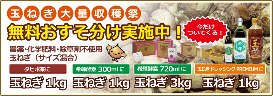 玉ねぎプレゼント中