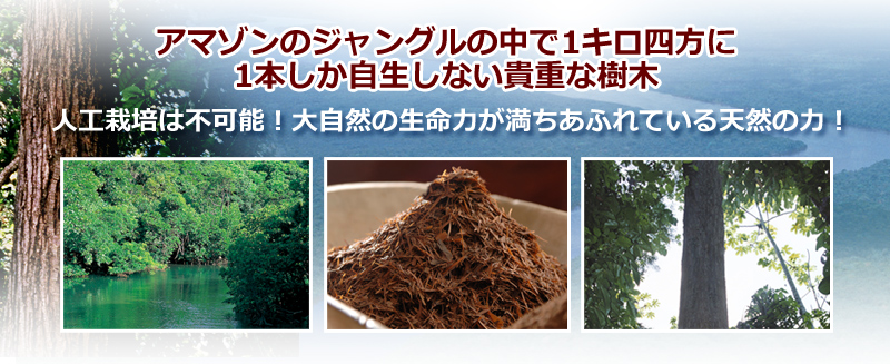 天然の力