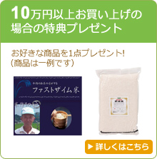 10万円以上お買い上げの場合の特典プレゼント