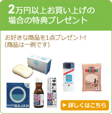 2万円以上お買い上げの場合の特典プレゼント