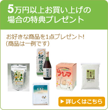 5万円以上お買い上げの場合の特典プレゼント