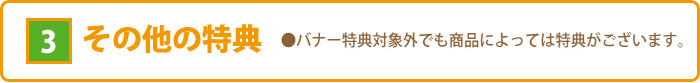 3、その他の特典