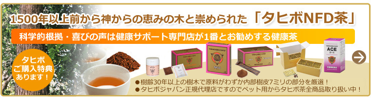 1500年以上前から神からの恵みの木