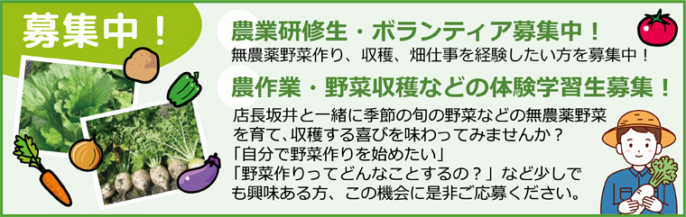 農業研修性・ボランティア募集