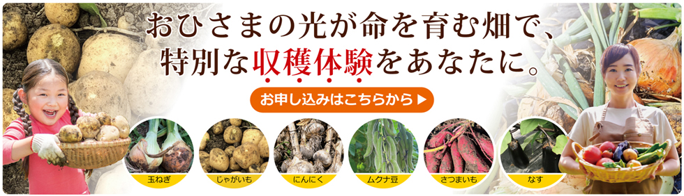 収穫体験をあなたに